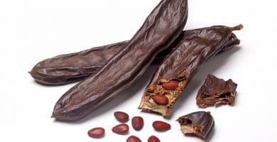 Fruto seco