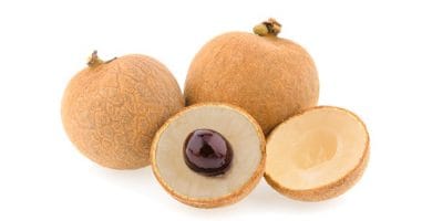 Longan